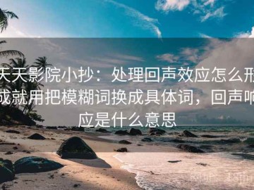 天天影院小抄：处理回声效应怎么形成就用把模糊词换成具体词，回声响应是什么意思