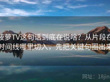 菠萝TV这句话到底在说啥？从片段在时间线哪里切入，先把关键句圈出来