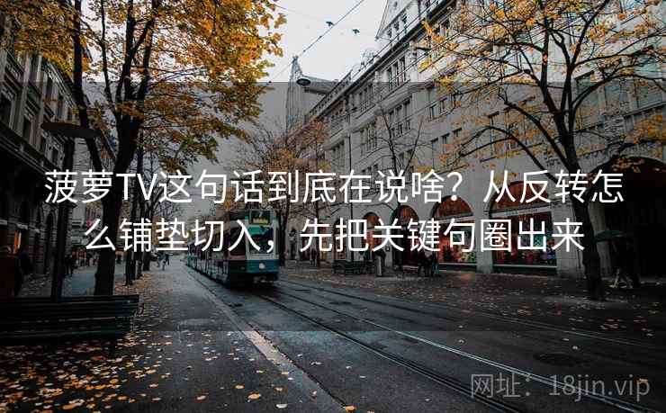 菠萝TV这句话到底在说啥？从反转怎么铺垫切入，先把关键句圈出来